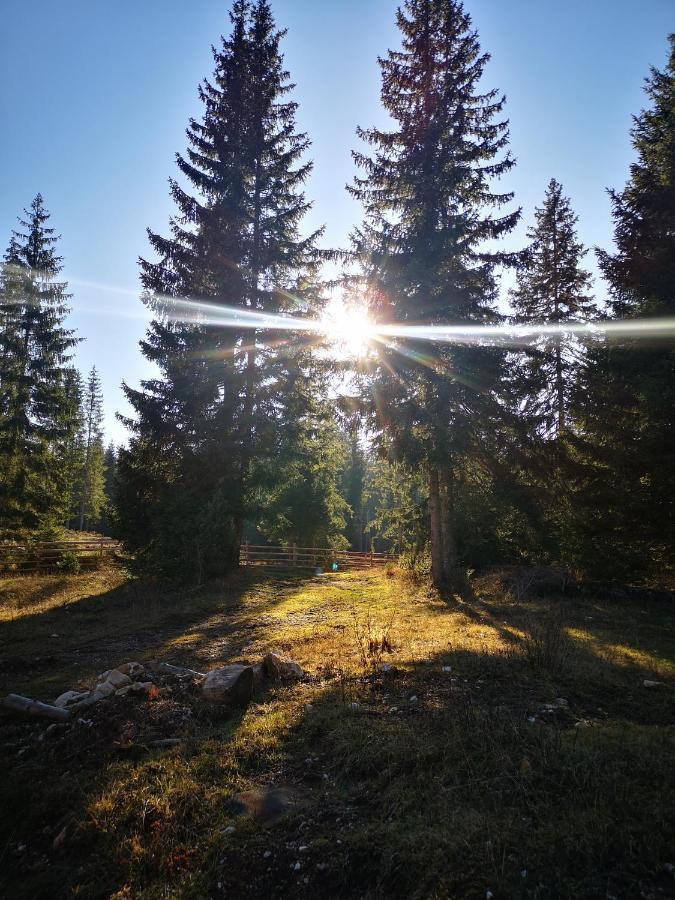 Snowhite Jahorina Villa Exterior photo
