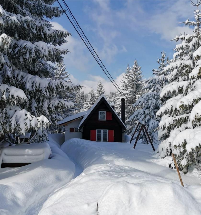 Snowhite Jahorina Villa Exterior photo