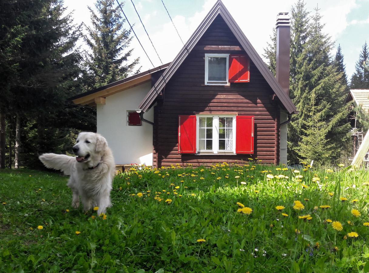 Snowhite Jahorina Villa Exterior photo